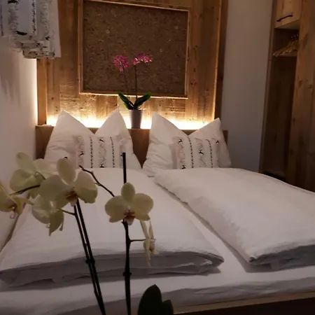 Апартаменты Alp-in Kaprun, Including Summer Card